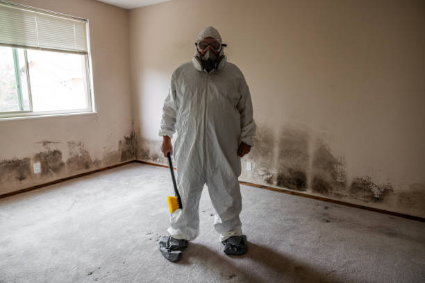 Best Toxic Mold Removal  in Myrtle Grove, NC